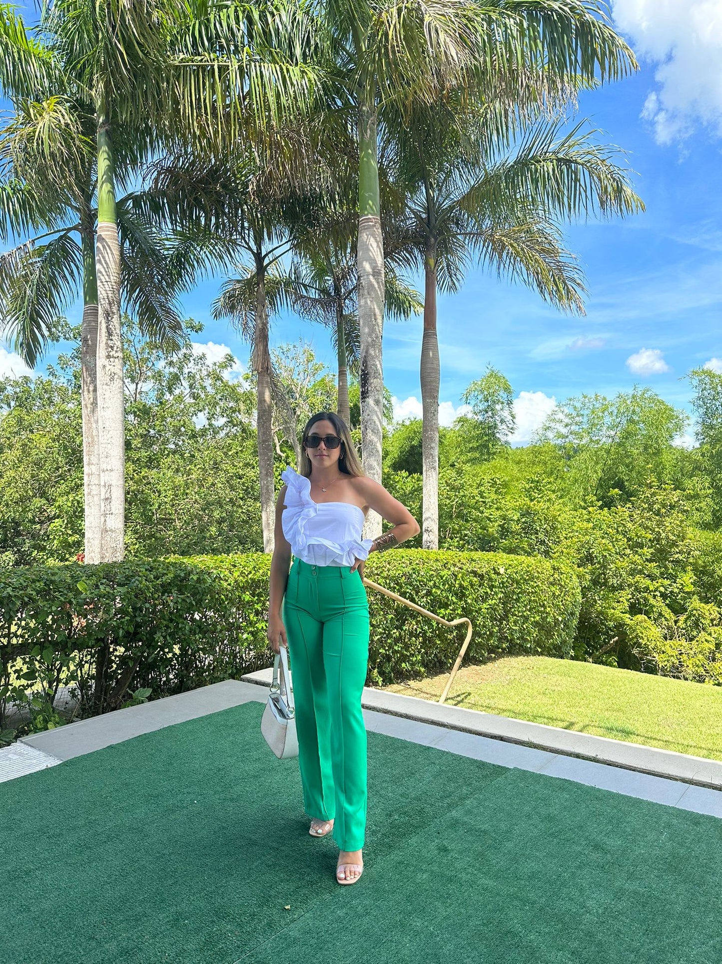 Green Solid Plicated Pants