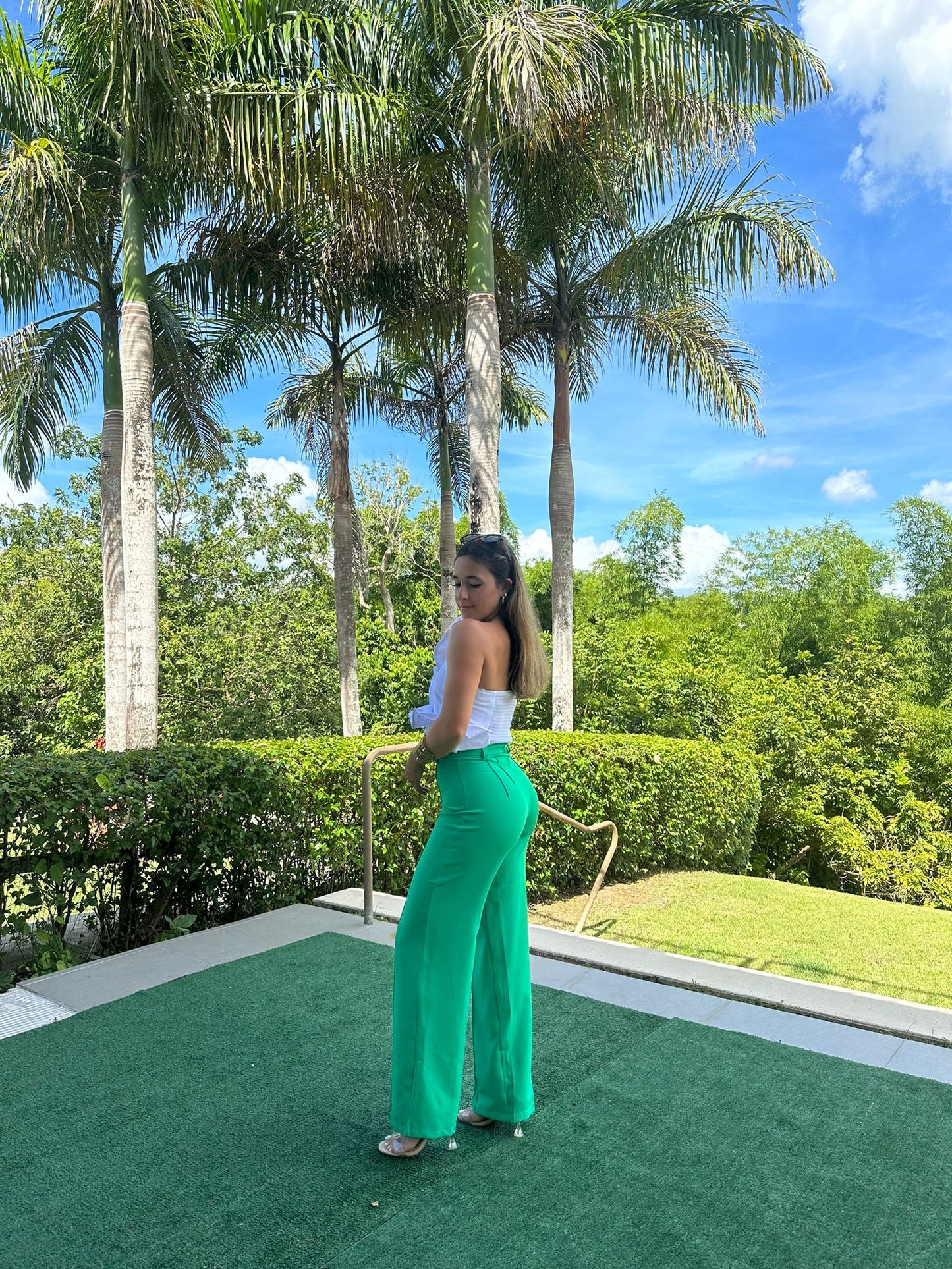 Green Solid Plicated Pants